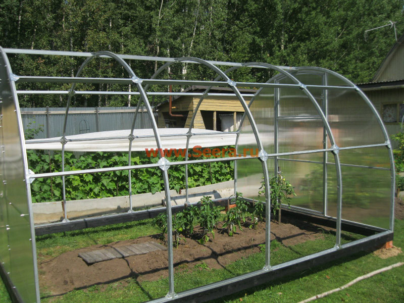 теплица из поликарбоната своими руками теплица из поликарбоната своими руками