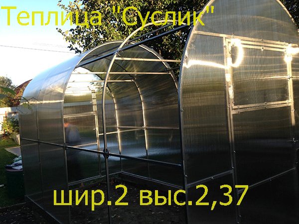 Теплица СУСЛИК Теплица СУСЛИК